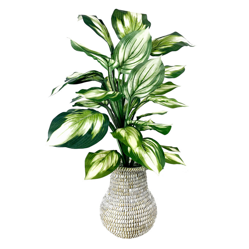 32'' Faux Hosta Plant