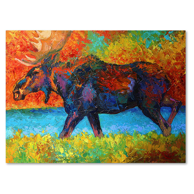 Kucera 'Moose EBSQ' Print on Wrapped Canvas, 14" H x 19" W