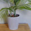 90cm Faux Palm Plant in Planter