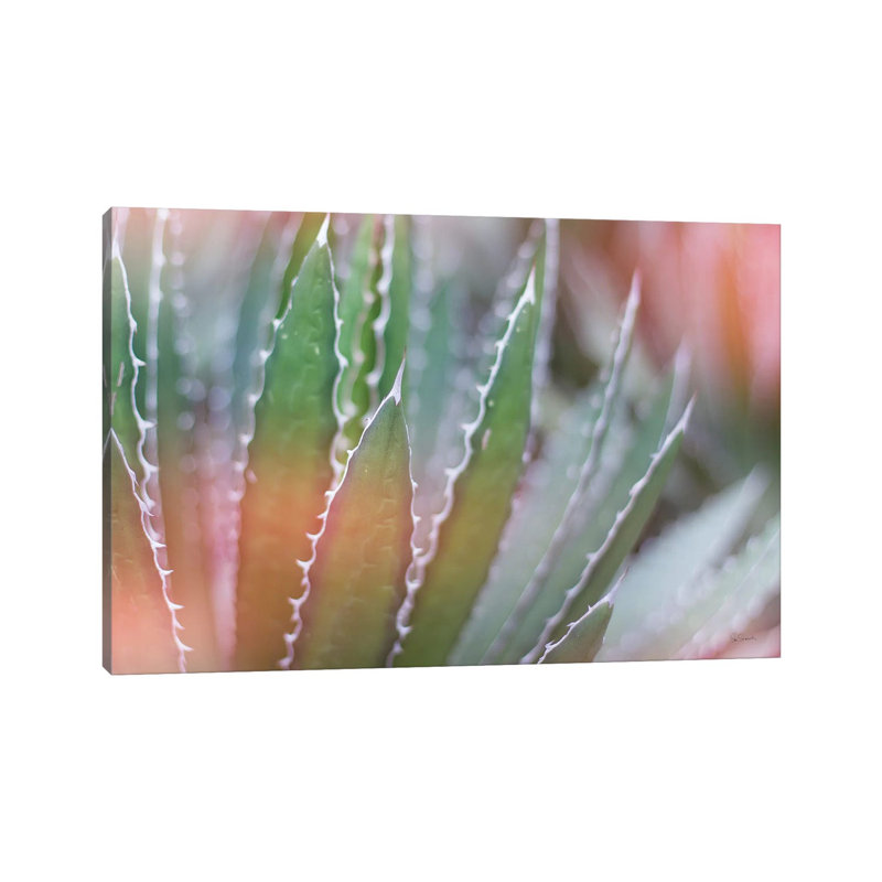Dream Desert III by Sue Schlabach - Wrapped Canvas Print, 66.04 cm H x 45.72 cm W