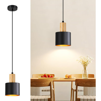 - Light Stainless Steel Pendant