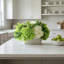 Hydrangea Arrangement in Fluted Ceramic Vase