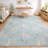 Machine Washable Indoor/Outdoor Chantille ACN2657 Kids Rug-1253865665-1253865663