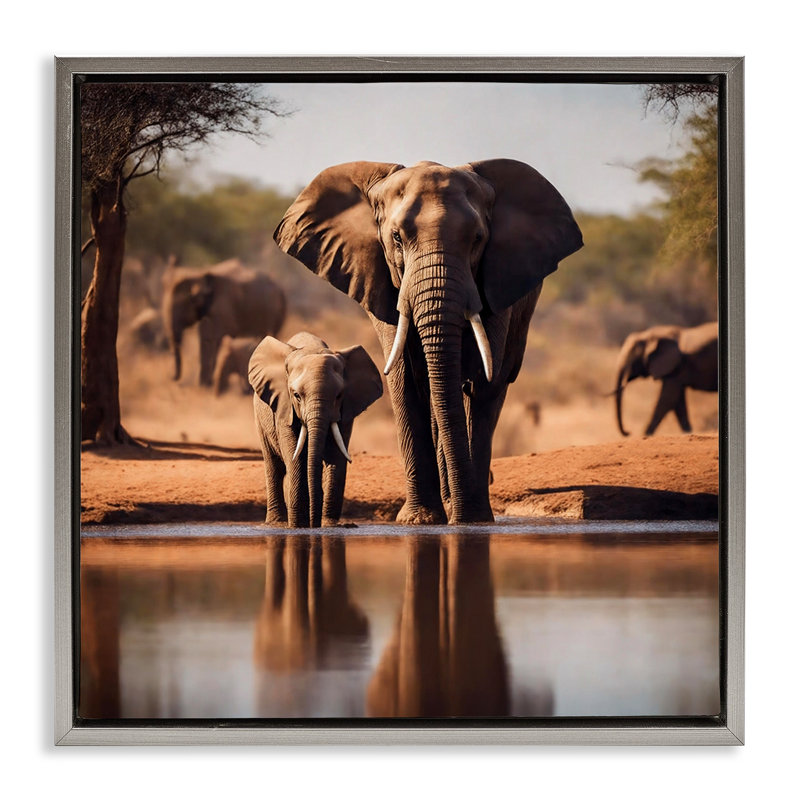 «Elephant & Calf At Waterhole», art mural encadré par Noah Bay, Cadre flottant gris lustré, H 18 po x l 18 po