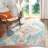 Haneul Performance Oriental Rug-657979507