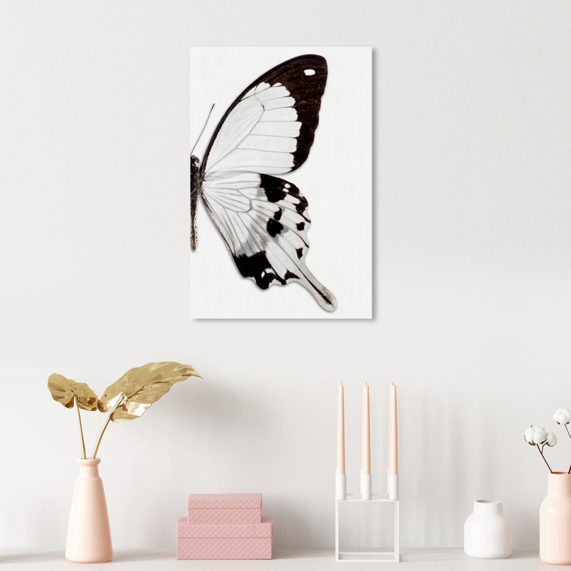 Papillon monochrome II - photographie sur toile, H 15 po x l 10 po, Toile tendue