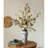 Rustic Dried Pot Stem 41" Tall-2013163918