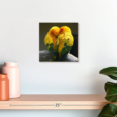 Brampt Lovebirds Snuggle