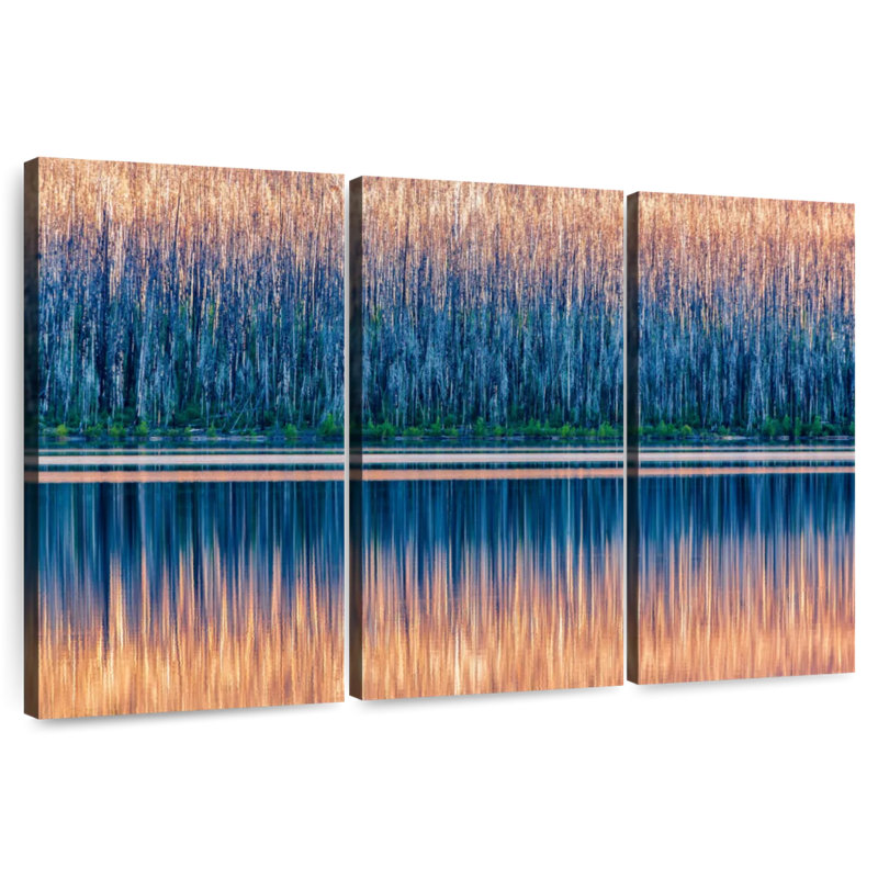 Reflet du lac Alvord, H 42 po x l 65 po