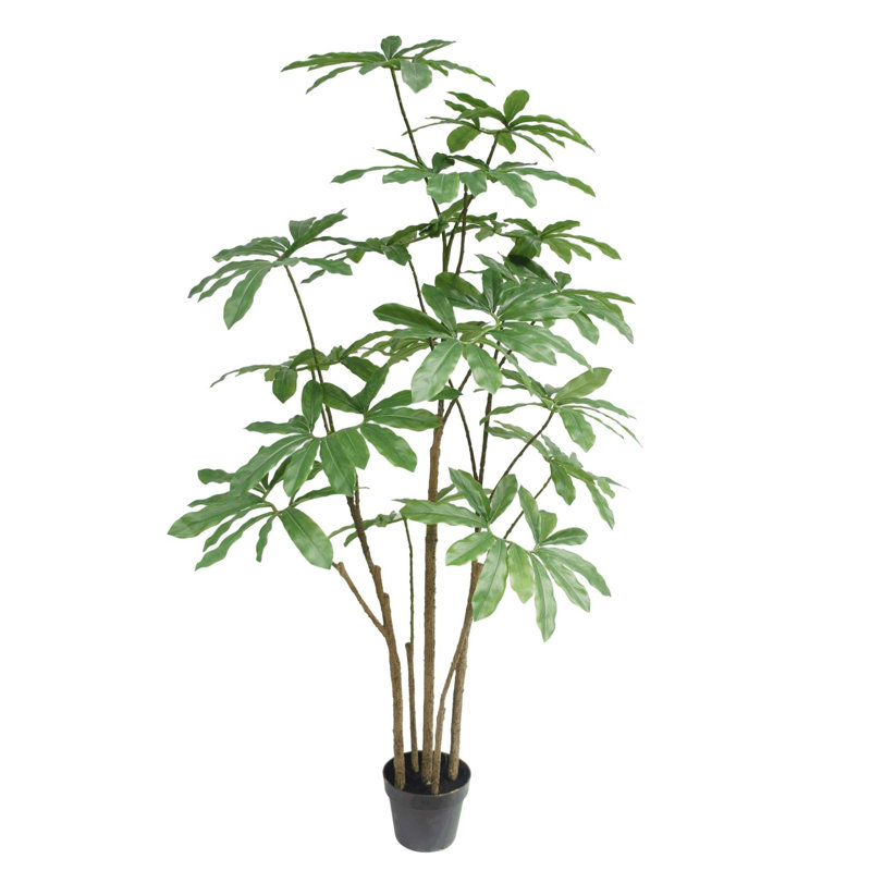 Aneria 150cm Faux Dwarf Umbrella Tree in Pot