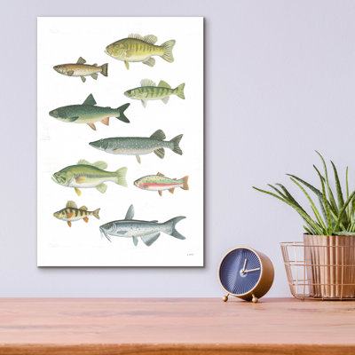 «Fresh Catch 5» par James Wiens, art mural en verre acrylique