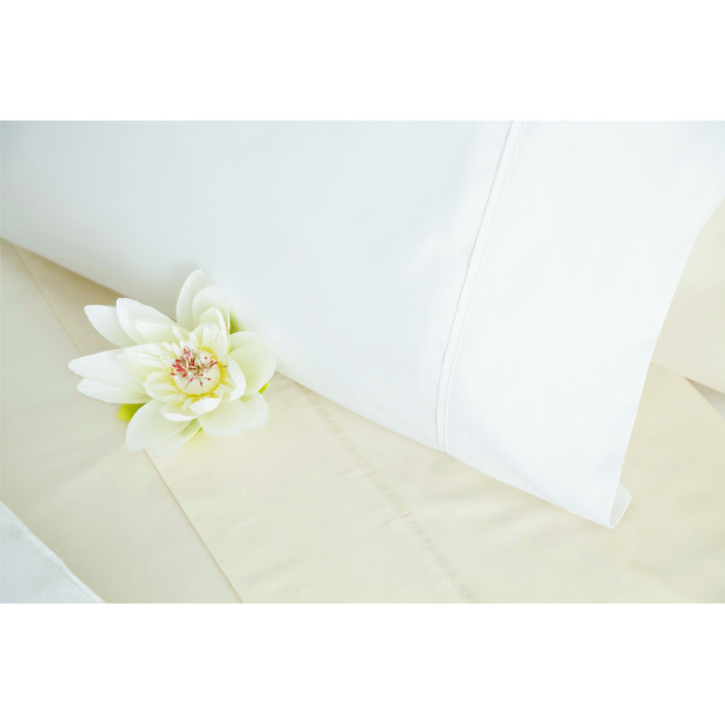 600 TC 100% Cotton Range Sateen Flat Sheet, Ivory, Emperor (7')