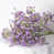 Mauve est en rupture de stock
