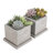 Square Concrete Succlent Pot Planter