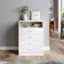 4 - Drawer Rectangle Accent Chest
