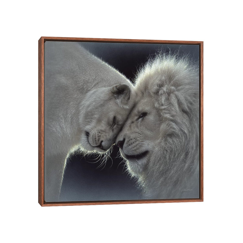 «White Lion Love» par Collin Bogle Print, H 26 po x l 26 po x P 1,5 po, Toile avec cadre en bois classique