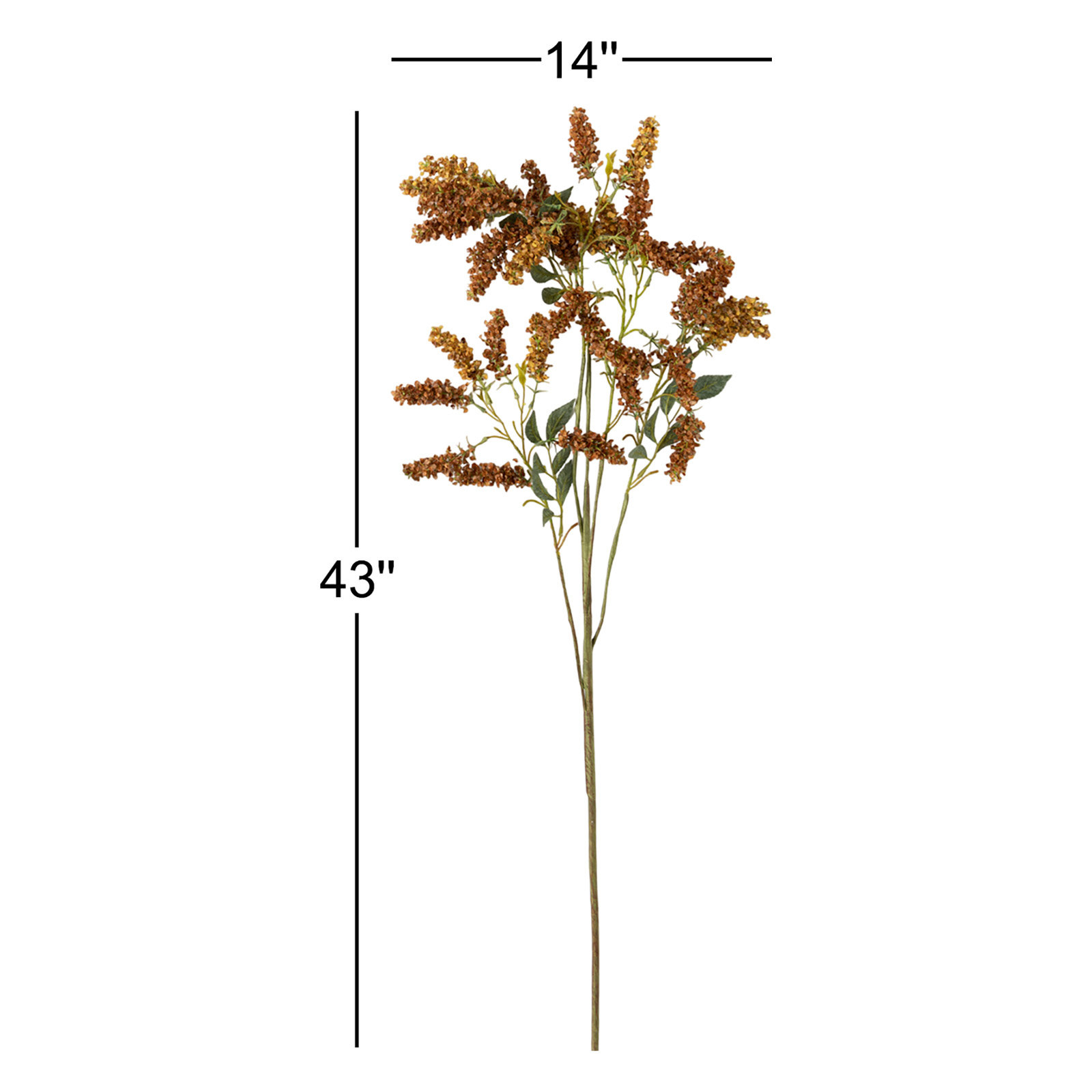 Pedersen Hops Stems