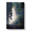 Forest Light - Wrapped Canvas-55363980