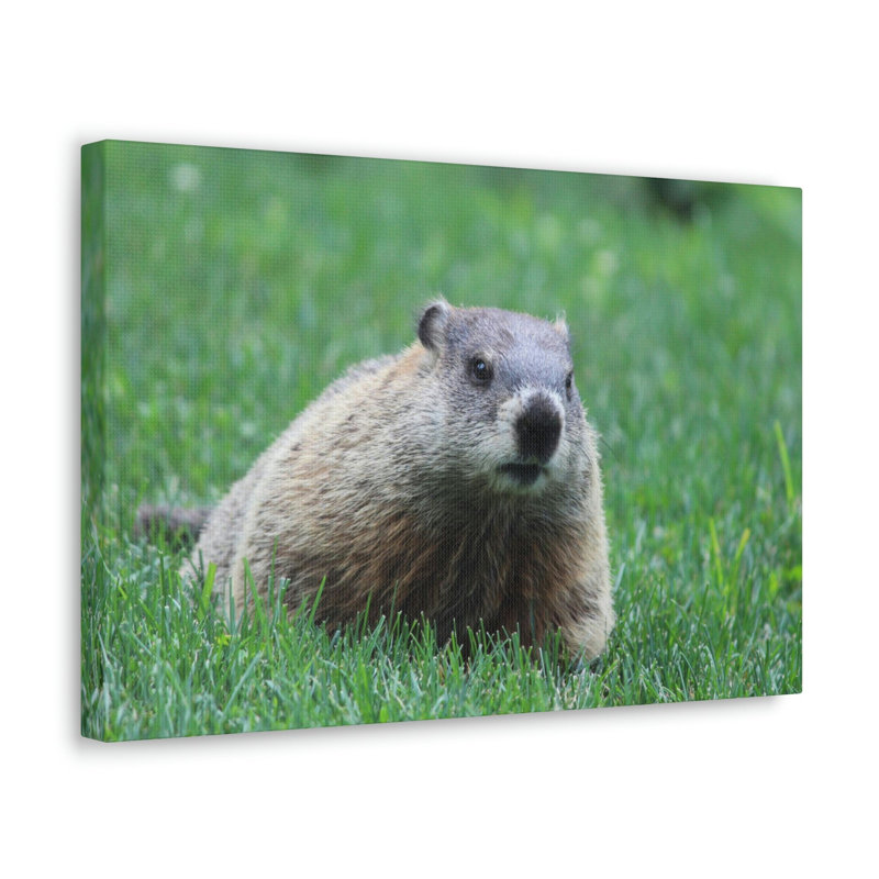 No Frame Print on Canvas