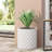 MGO PLANTER