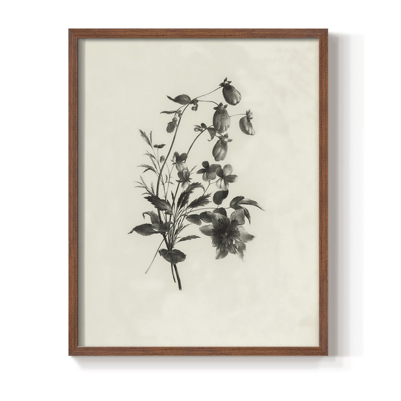 Reproduction florale vintage encadrée «Cccxxxv» - bois massif, H 30 po x l 24 po, Noyer