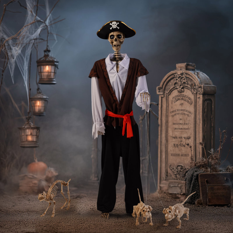 5.6 Ft Halloween Pirate Captain Skeleton Life Size Skull Movable Joints Party Outdoor Decoration