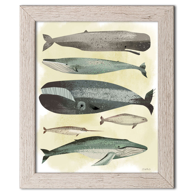 « baleines », impression, Papier encadré patiné, H 16 po x l 12 po x P 0,75 po