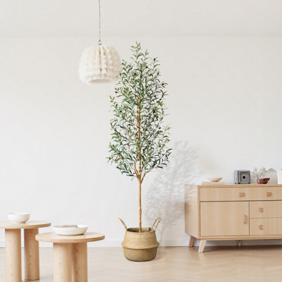 Adcock 84" Olive Tree in Pot