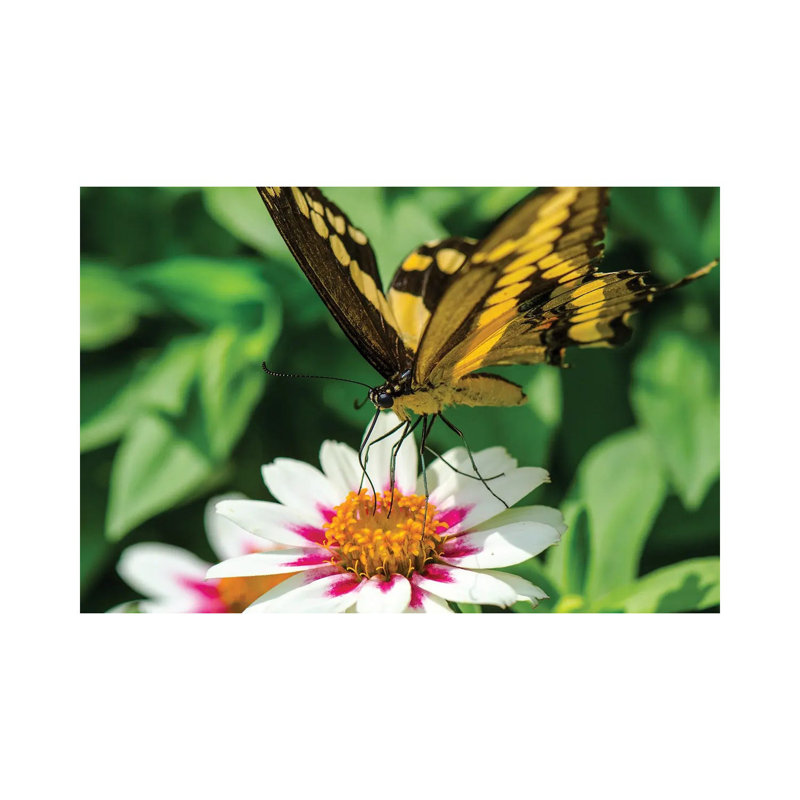 At Lunch by David Gardiner - Wrapped Canvas Gallery-Wrapped Canvas Giclée, 8"H x 12"W