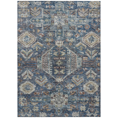 Machine Washable Indoor/Outdoor Jadiel ACN2356 Traditional Rug
