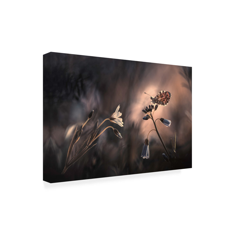 Art sur toile Fabien Bravin, H 16 po x l 24 po x P 2 po