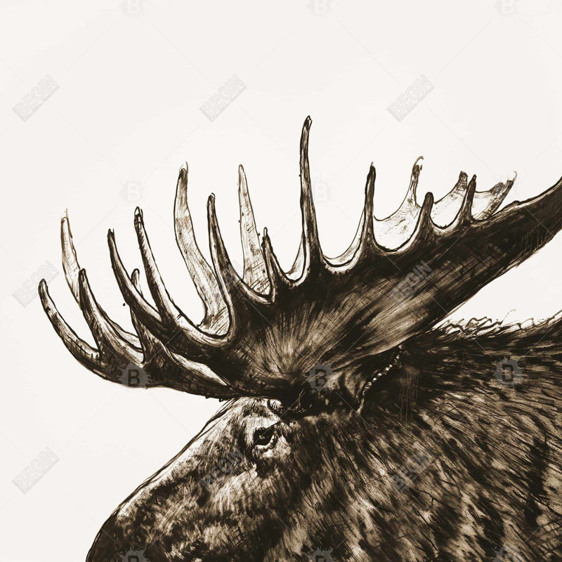 " Moose Plume Sepia "