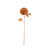 Burnt Orange is out of stock