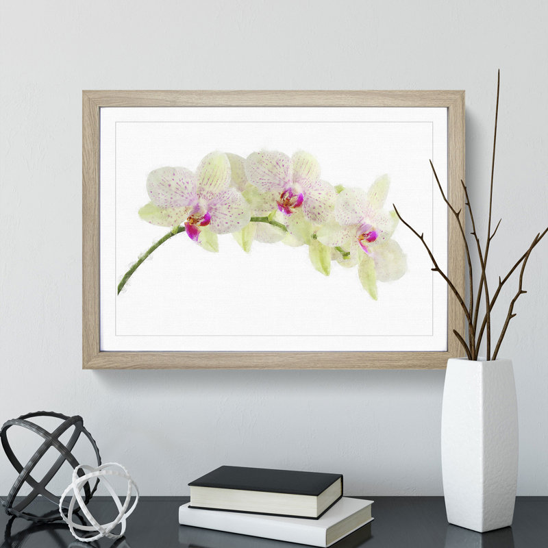 Orchid Flowers Vol.1 - Framed Print, 36cm H x 48cm W x 2cm D, Oak Framed