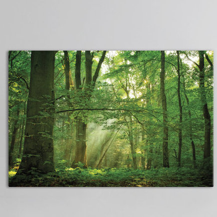 Breathe - reproduction de photo sur toile tendue, H 40 po x l 60 po x P 1,5 po
