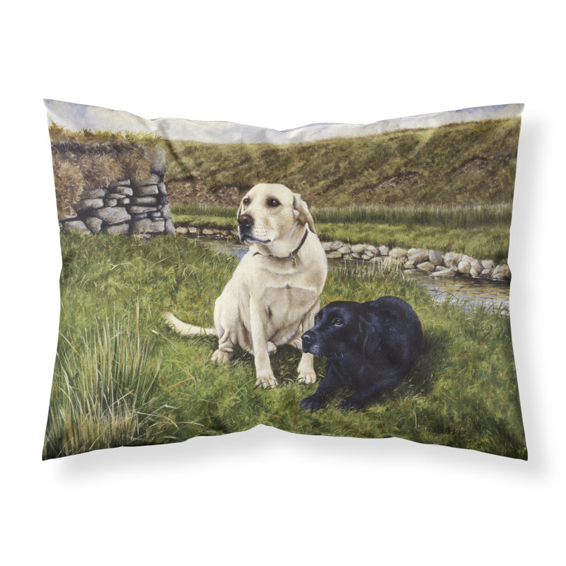 Taie d’oreiller labradors