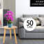 Tabouret en bois-106599387