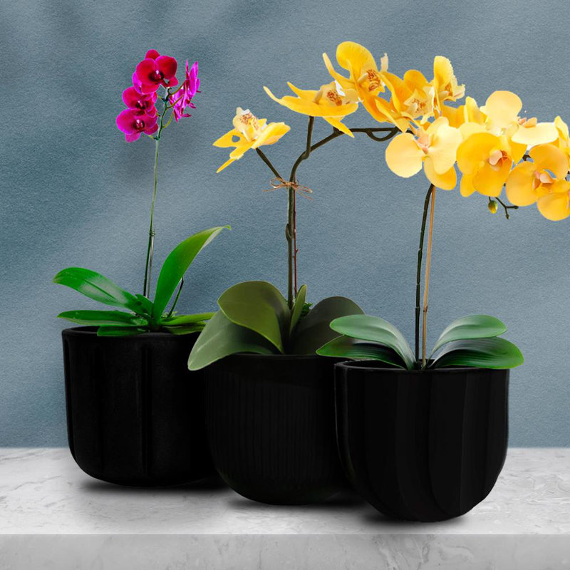 Cachepot, Black