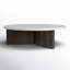 Toli Marble Coffee Table-445667411