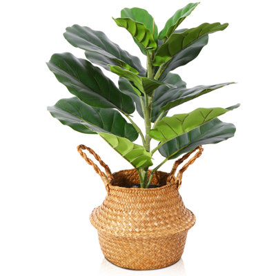 Adcock 22in Artificial Fiddle Leaf Fig Plant in Basket, Faux Green Plant, Fake Tree for Home Décor