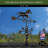 Galloping Horse Weathervane - Matte Black Copper