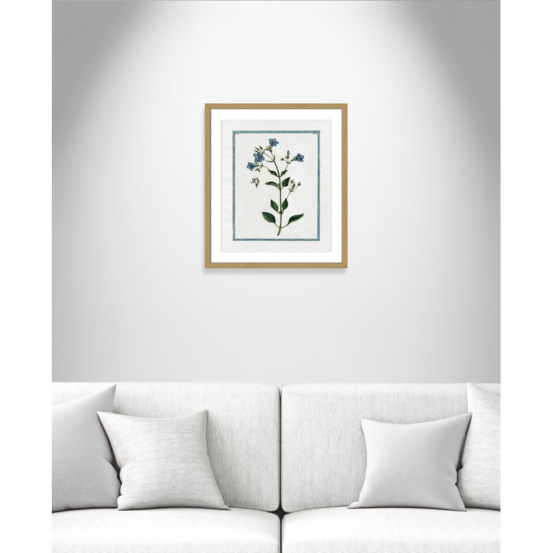 Colombe Shabby Elegance Botanical II - Framed Art, 16" W x 19" H, Natural Framed