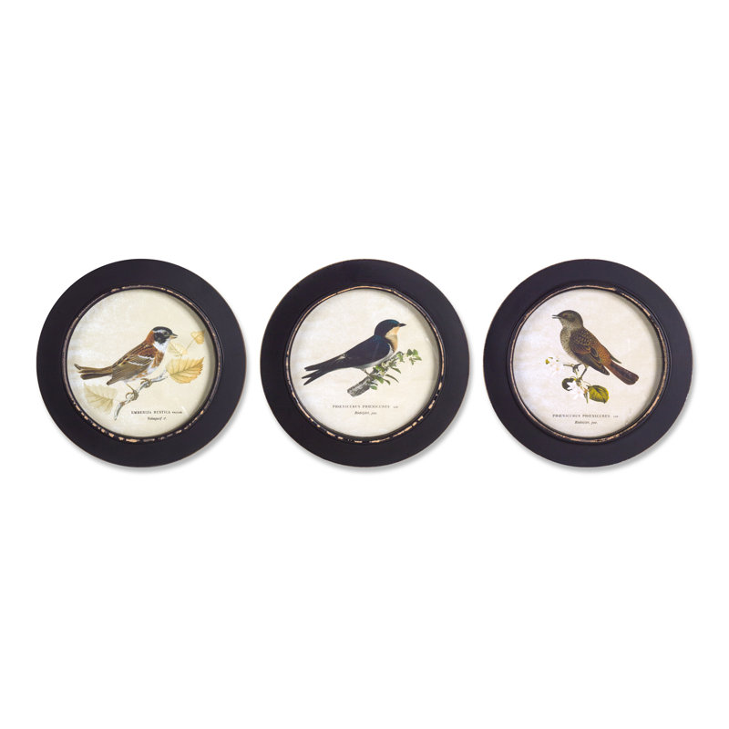 Wood Framed Encyclopedia Bird Print