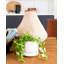 Pot à fleurs en céramique Byer-352733356-351915964