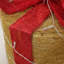 Christmas Decorative Accent-1643625851