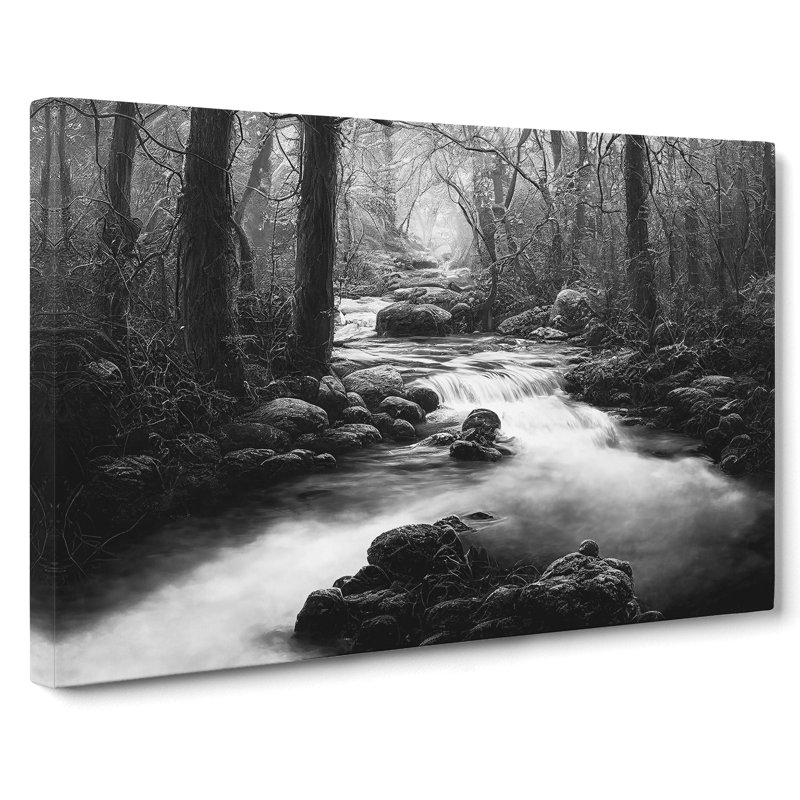 Monochrome Forest Stream - Wrapped Canvas, 35cm H x 50cm W x 3cm D