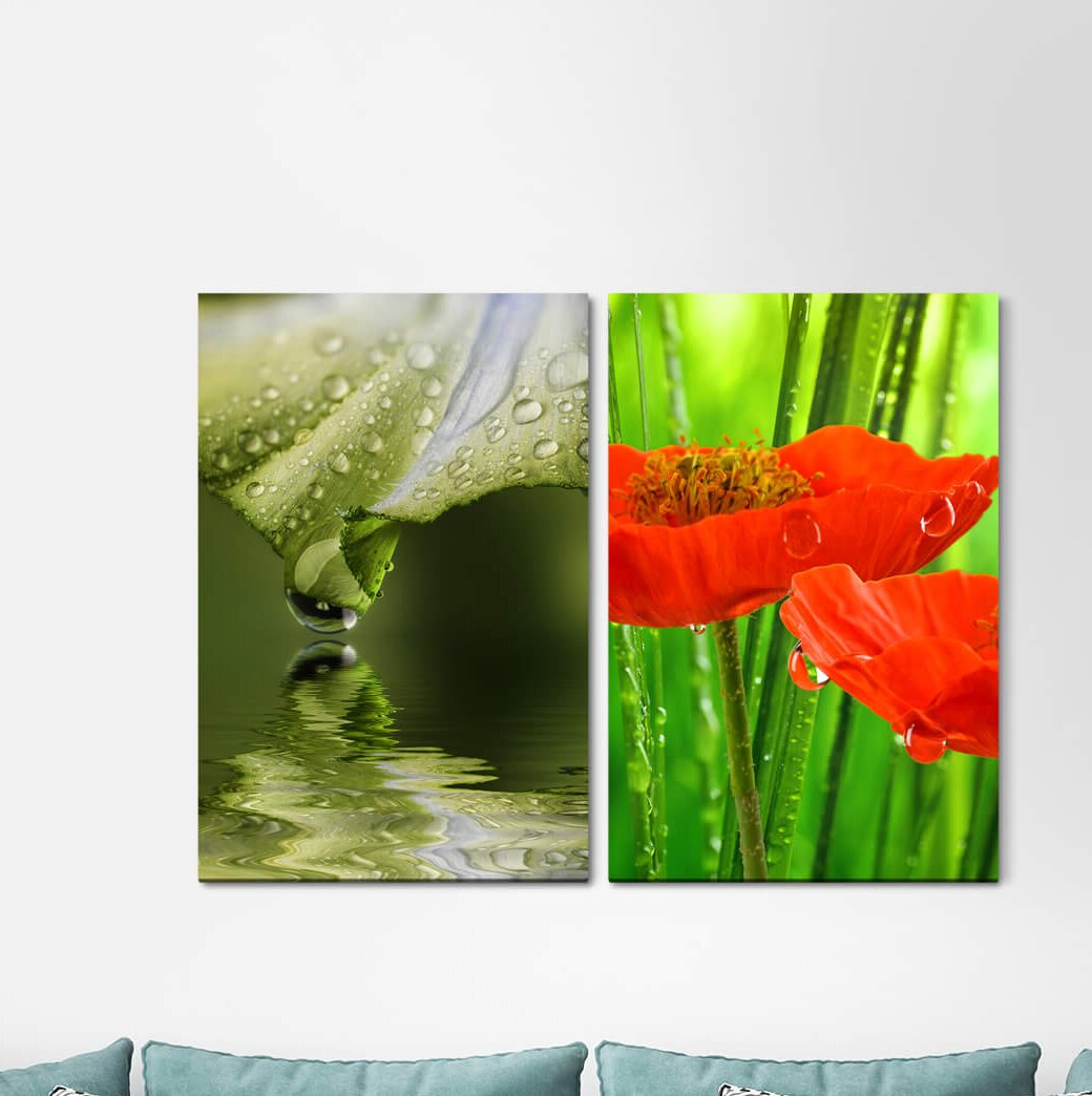 2-tlg. Leinwandbilder-Set - Fotografie „Poppy Flower Green Rations Water Drops Lake Flowers”