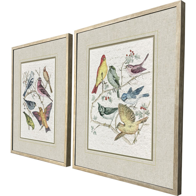 Bird Variety Framed Art