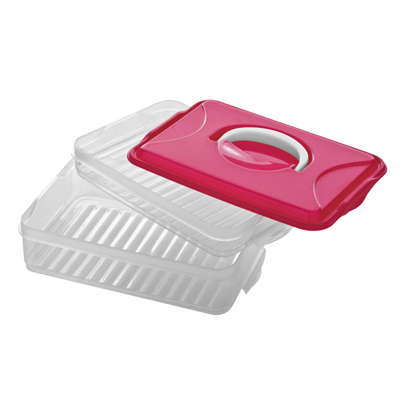 Food Storage Container