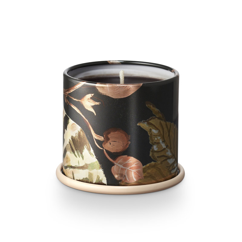 Midnight Pumpkin Scented Black Tin Candle, 3 oz